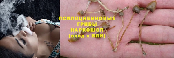 apvp Саяногорск