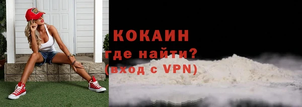 ПСИЛОЦИБИНОВЫЕ ГРИБЫ Рославль