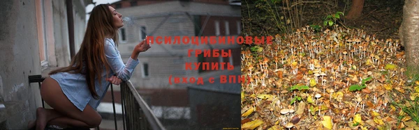 альфа пвп Россошь