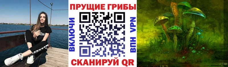 Галлюциногенные грибы прущие грибы  Абаза 